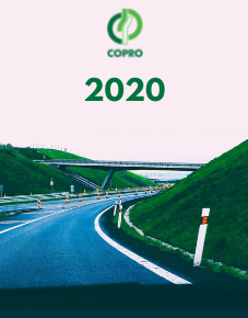 activiteitenverslag 2020